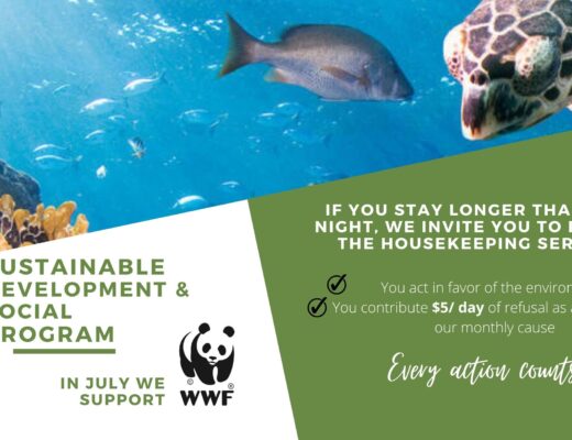 In July we support WWF for the oceans protection through our sustainable development program at le saint-sulpice hotel montreal